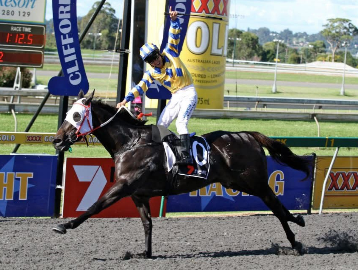 馬に乗る代表写真