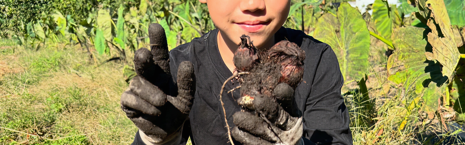 農作物を持つ写真