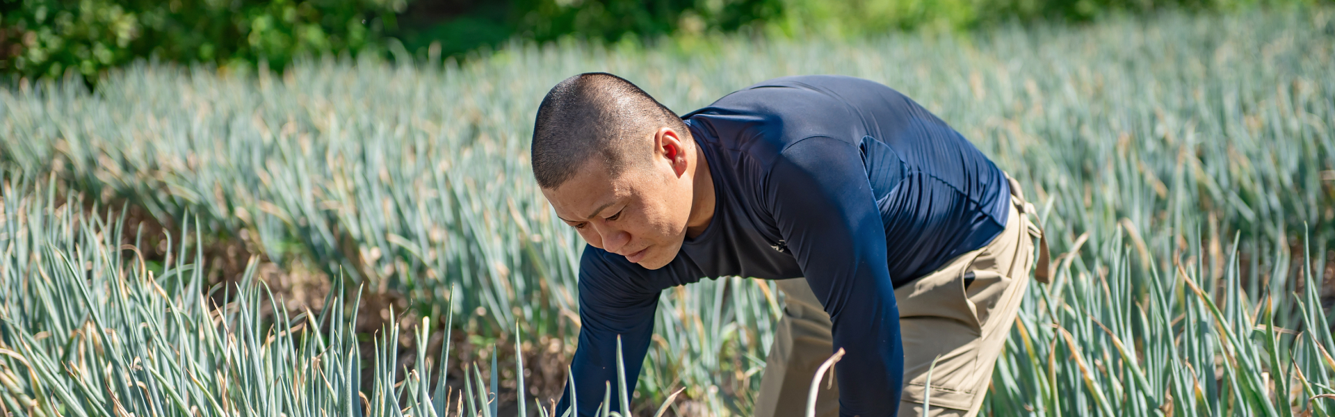 農作業をする写真