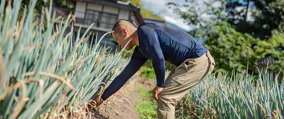 農作業をする写真