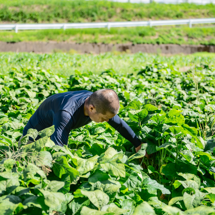 農作業をする写真